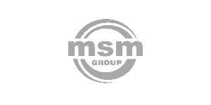 Logo - msm GROUP